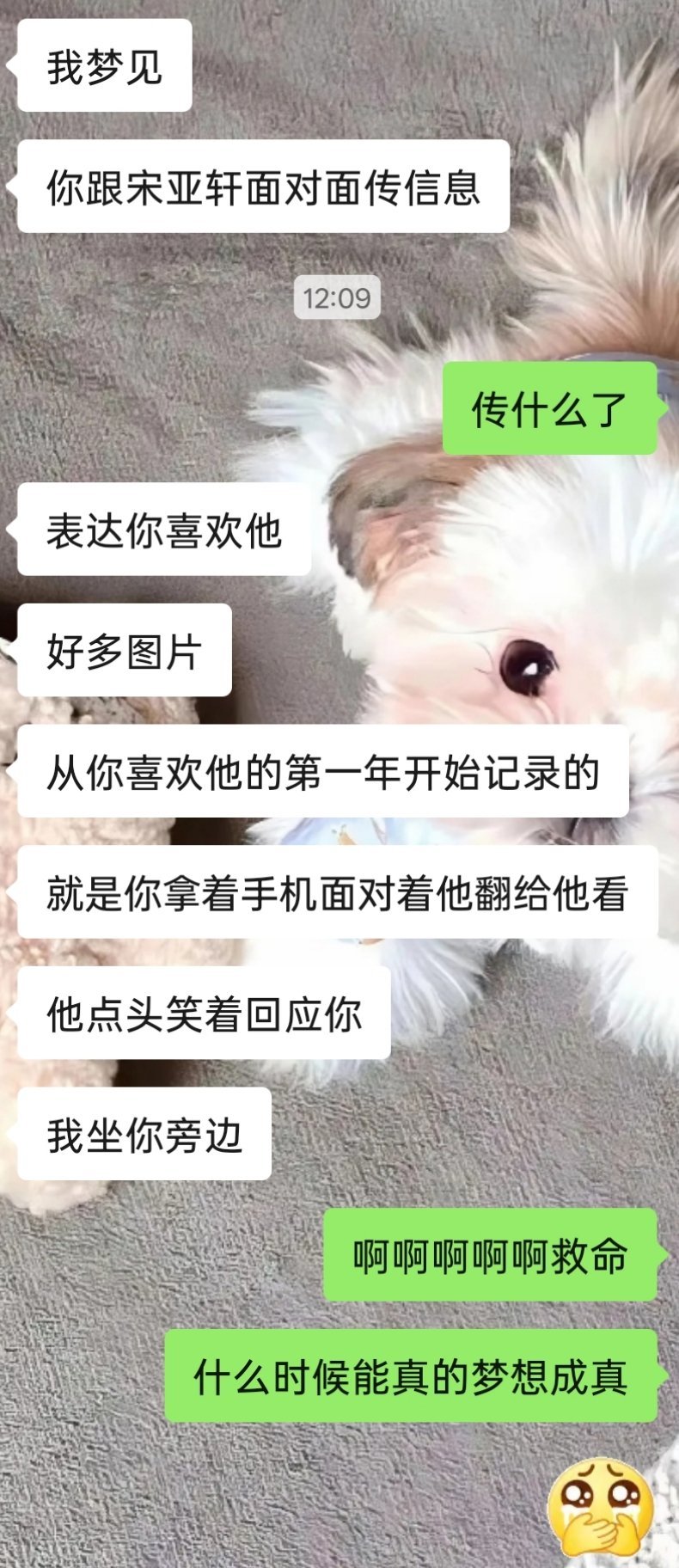 我最怕做这种梦了  不是说怕啥来啥吗