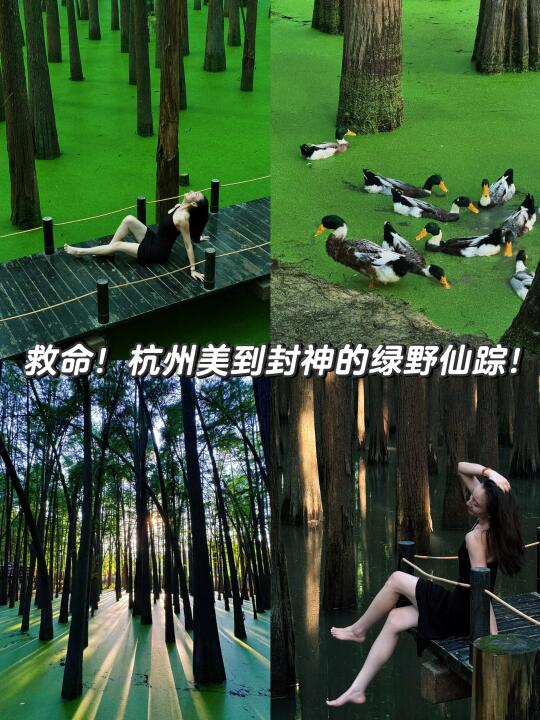 美到封神 救命🆘杭州周边的绿野仙踪抹茶湖