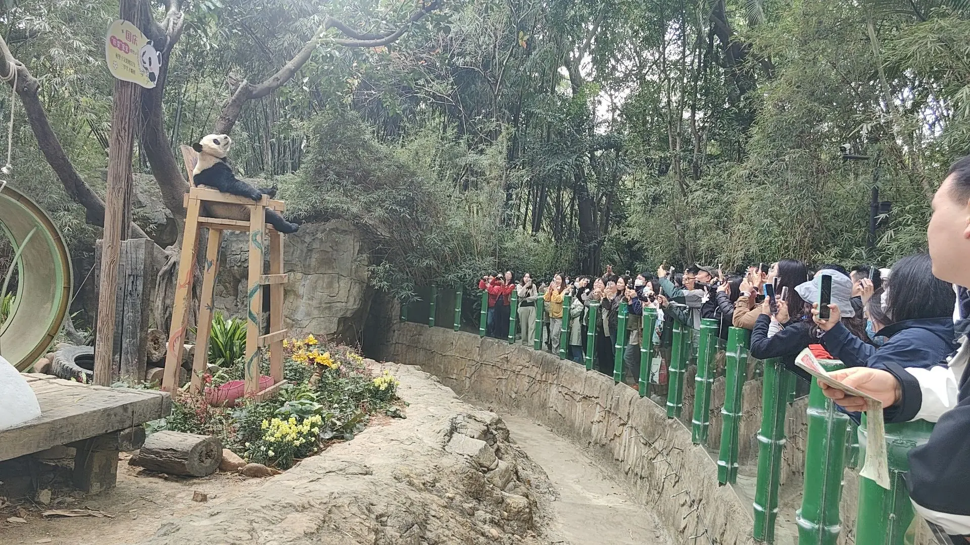 奶王千岁😄