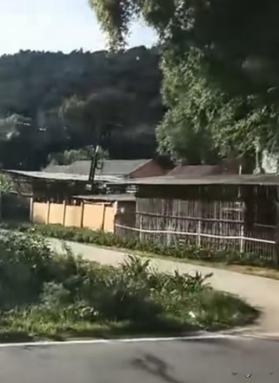 原创随手拍之（2820）
吉林省东丰县大阳镇宝山村六队后车路沟屯。
地处东丰县南