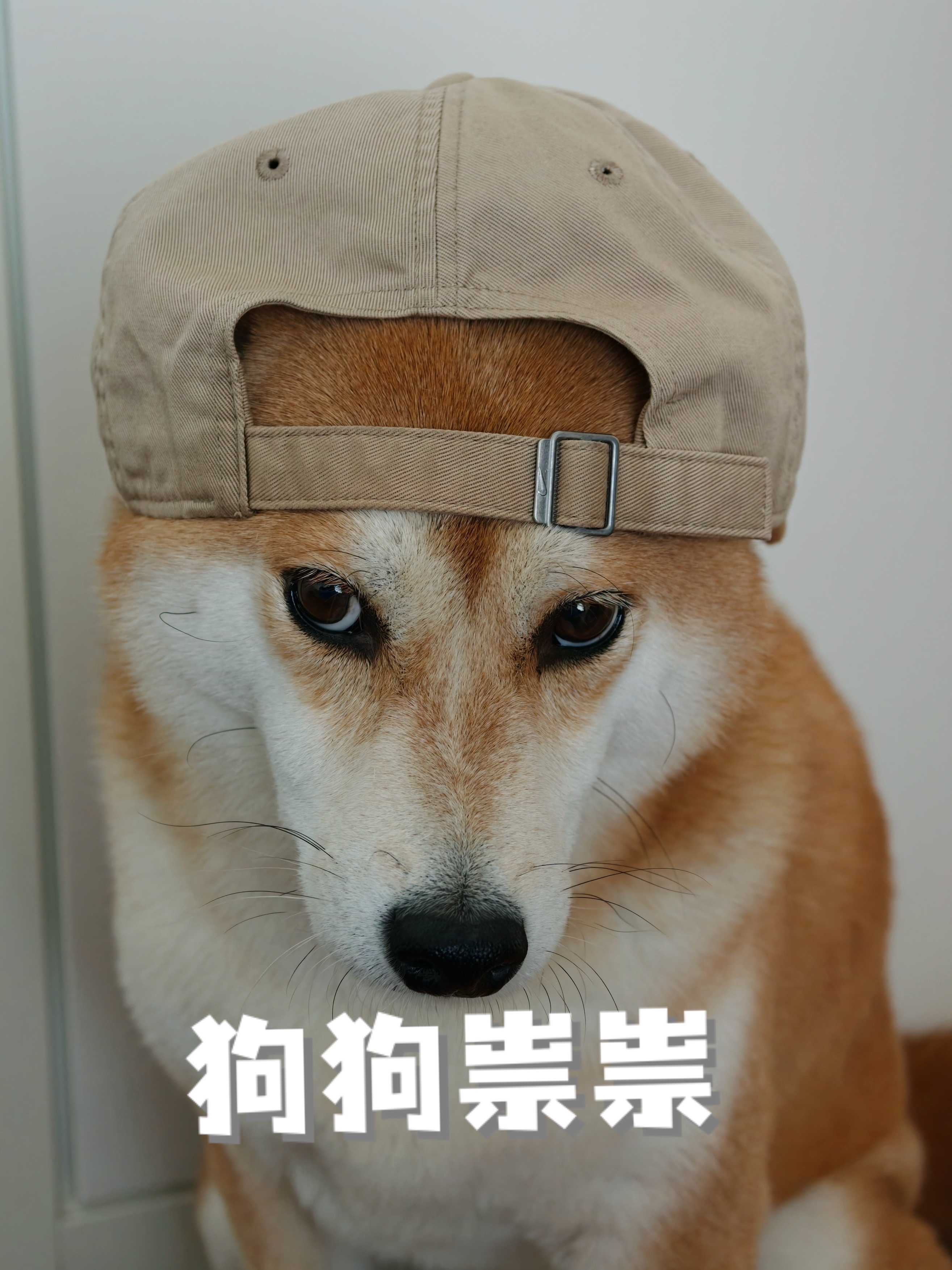 我微博粉丝也快30万了我好奇问问网友们关注我想看我发啥？ ​​​