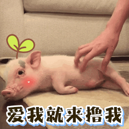 韩国股市上涨5%触发熔断我们赚大钱的股今天上午有点顶不住，所以下来了 