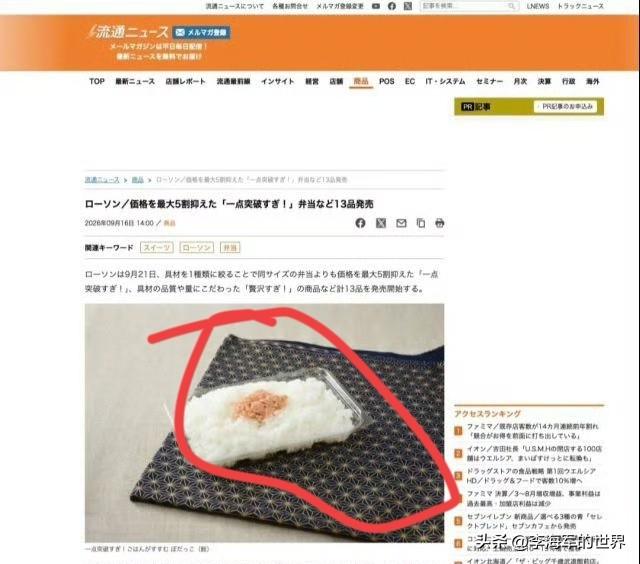 便宜确实是便宜，寒酸也是真寒酸！297日元一盒酸鲑鱼饭，鱼肉也就一元硬币大小，还
