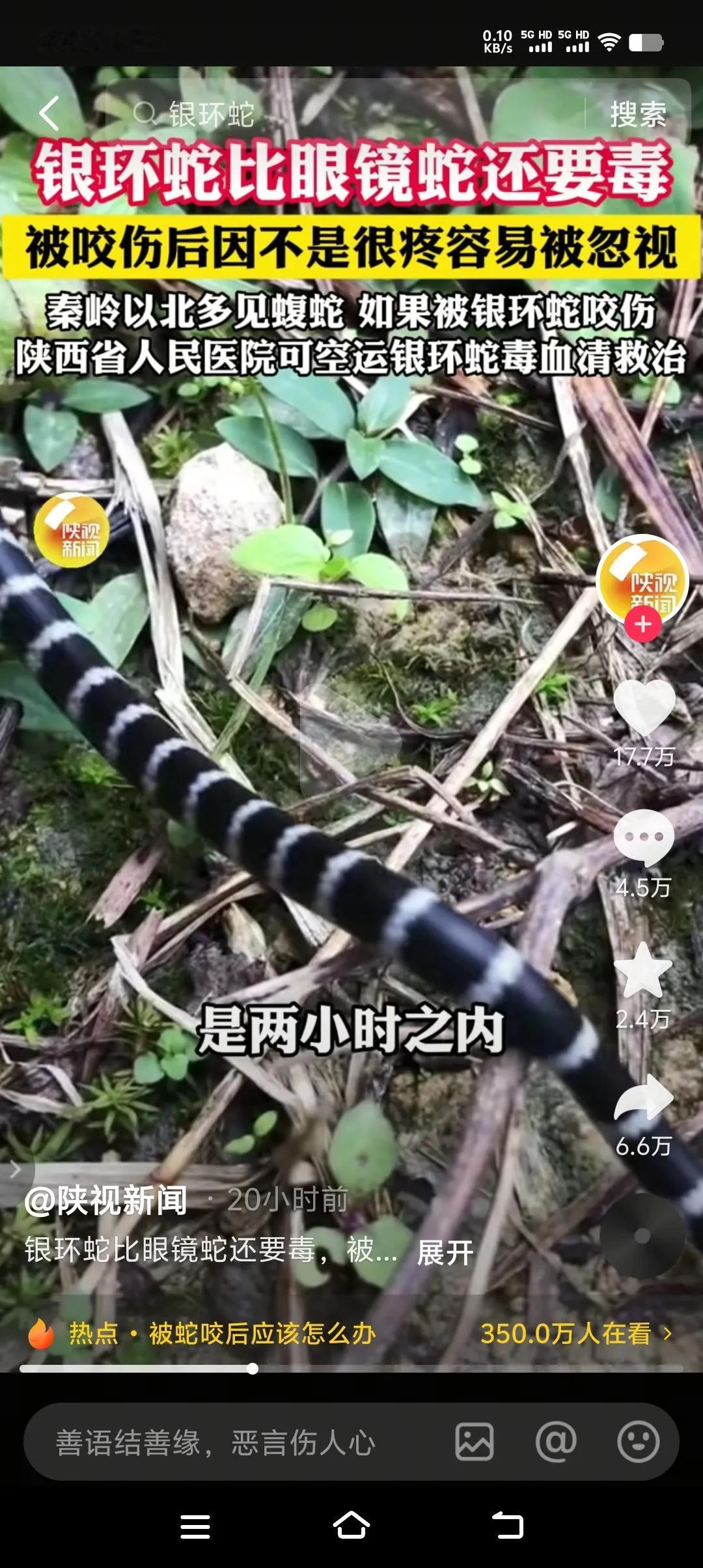 国内最毒的蛇“银环蛇”，号称“四毒之首”，一直稳居毒性排名榜第一。它的毒性到底有
