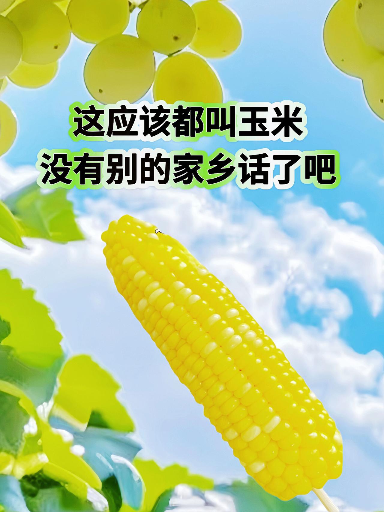 上热门强烈推荐 涨知识 创作人计划每天跟我涨知识 每日分享