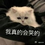 高考生分享用AI练英语心得高考结束考生分享实用学习妙招平时课余时间都能用 AI 