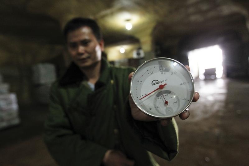 在规划和建造大型冷库时，存储品种、温度系数和库容时长确实是重要的考量因素。不同的