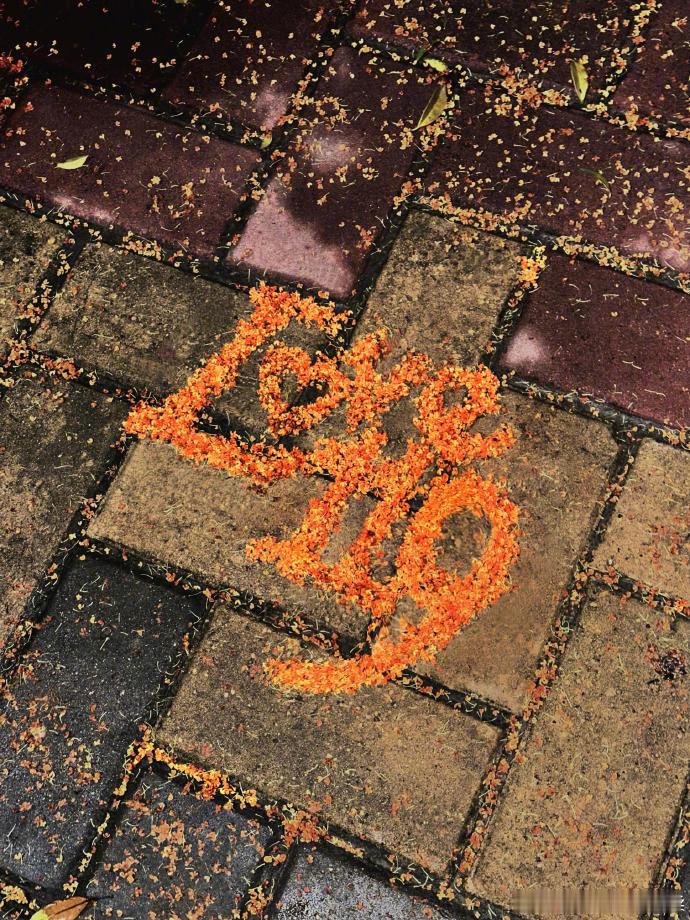 ʜᴀ͟ᴘ͟ᴘ͟ʏ ɛѵɛʀʏᴅᴀʏ̆̈ “生活的意义在于感受，百味尝遍自然看透”