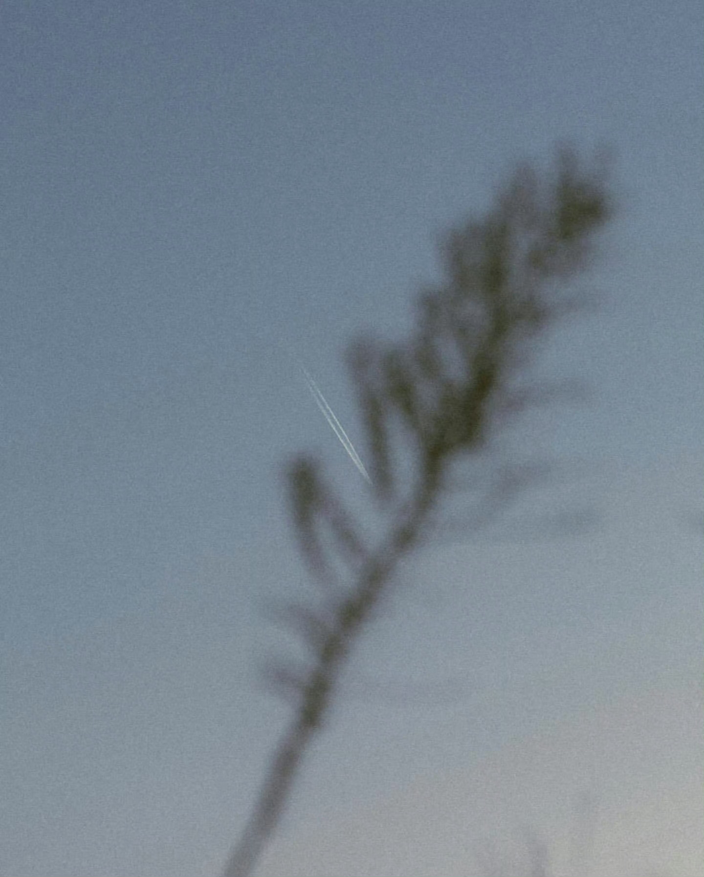 但是啊 人生有很多种答案 