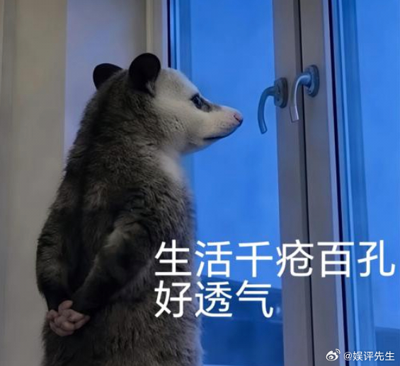 黄冠亨负鼠时候 以年轻化玩梗方式官宣新事业，打破艺人固有刻板印象，开启黄冠亨个人