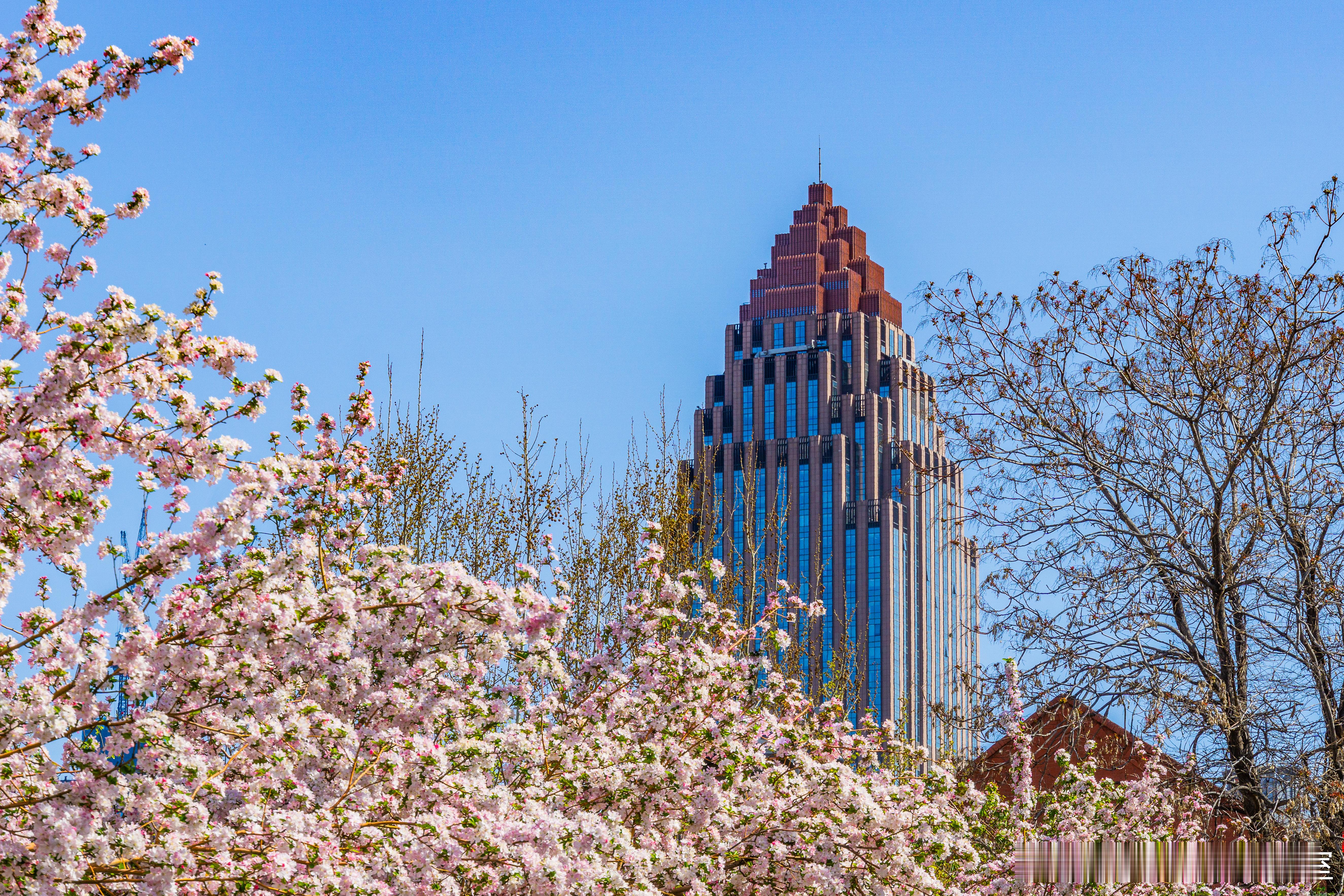 【公司章程设计核心｜不按出资比例分红，是商业智慧，更是法律允许】公司法赋予章程极
