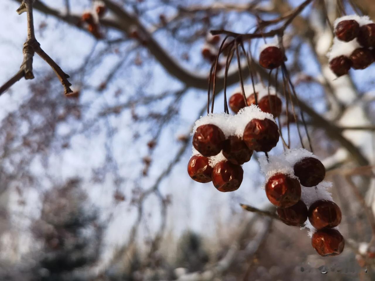 下雪其实挺耽误事的，尤其是上班的路属实是很艰辛呐！

今早上班迟到了，以前坐车不