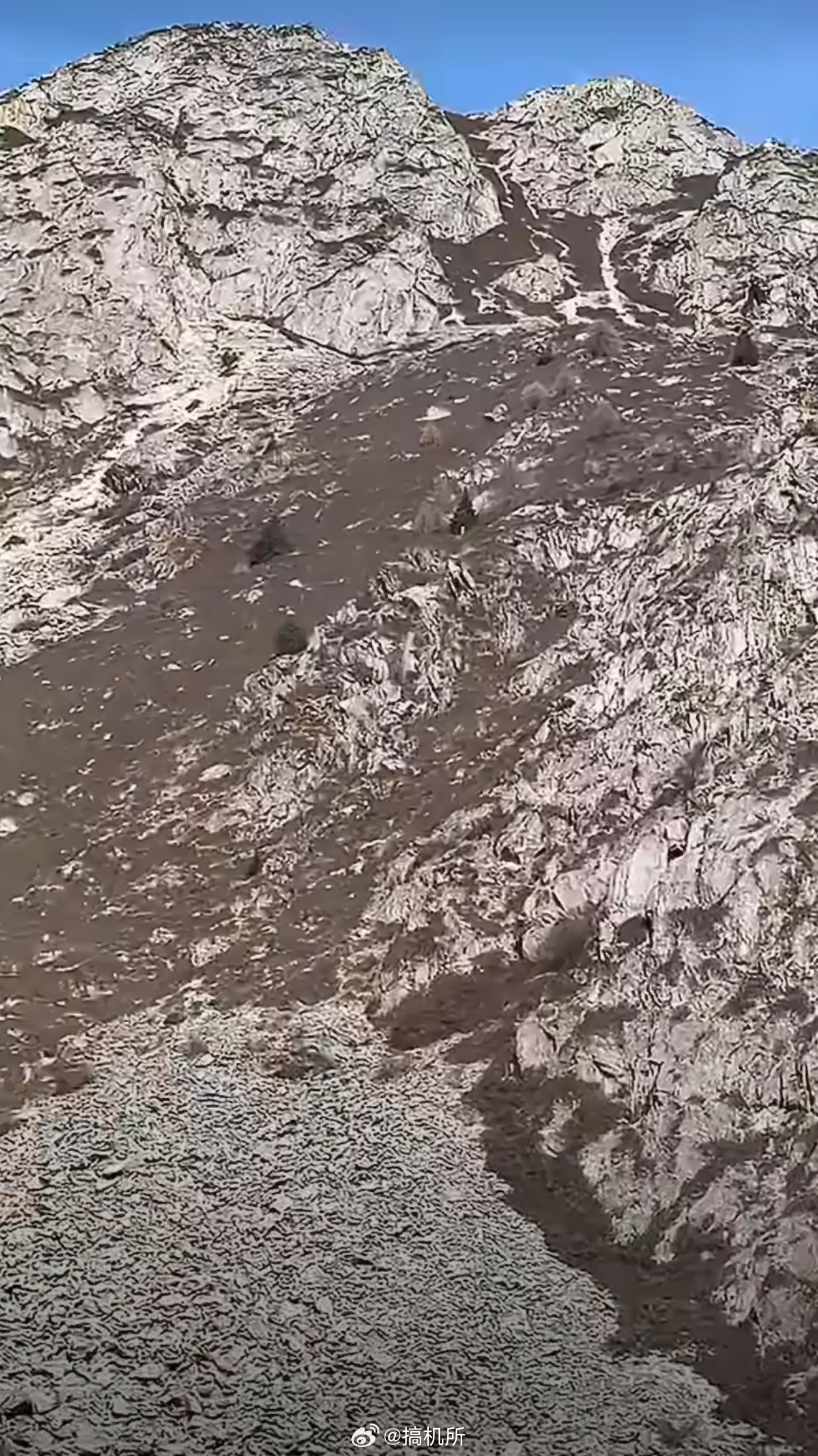 爬山就得穿鲜艳的衣服其实爬山更适合穿亮色或反光色的衣服，过于鲜艳的衣服反而容易吸