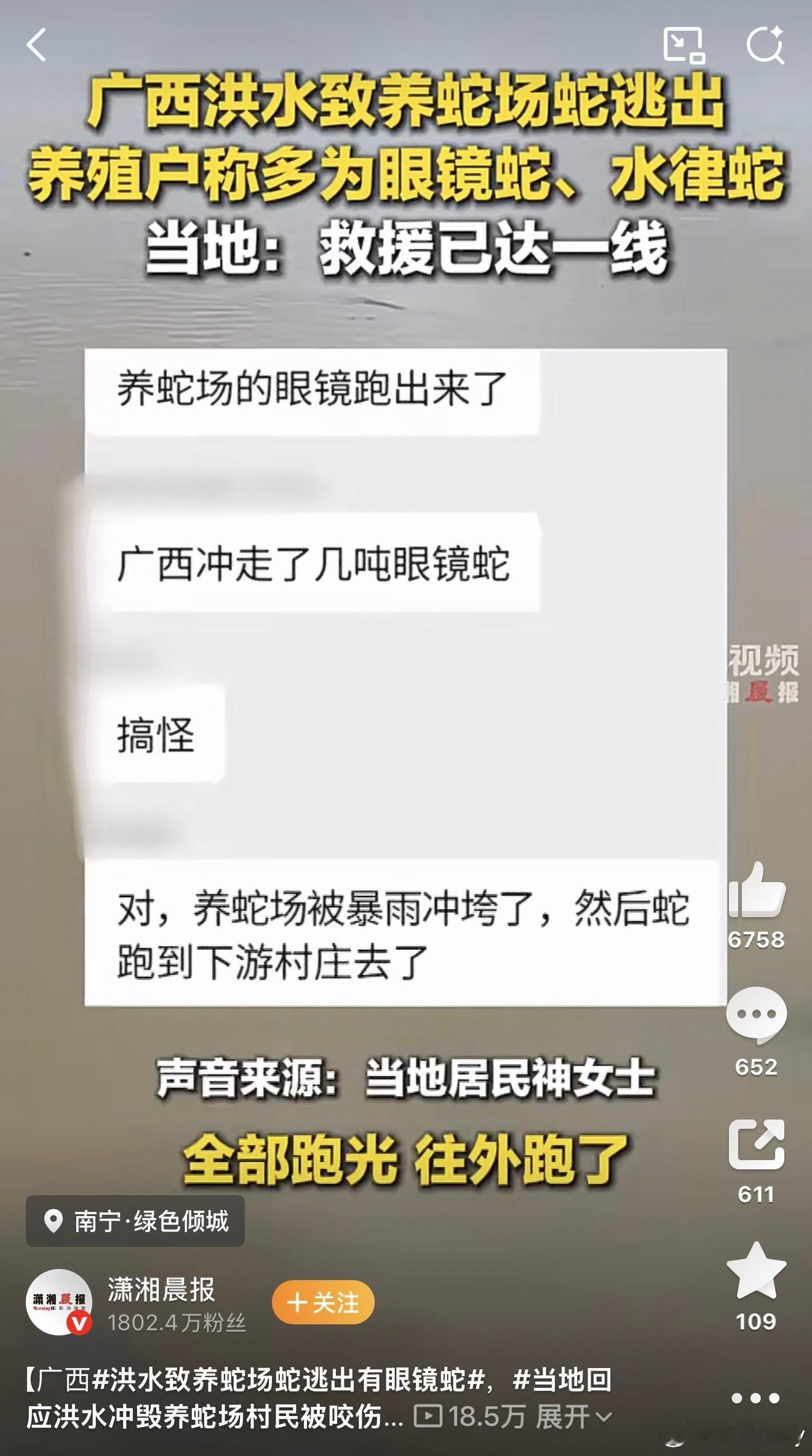 洪水致养蛇场蛇逃出有眼镜蛇水里还有眼镜蛇，风险又增加了！屋漏偏逢连夜雨！广西 蛇