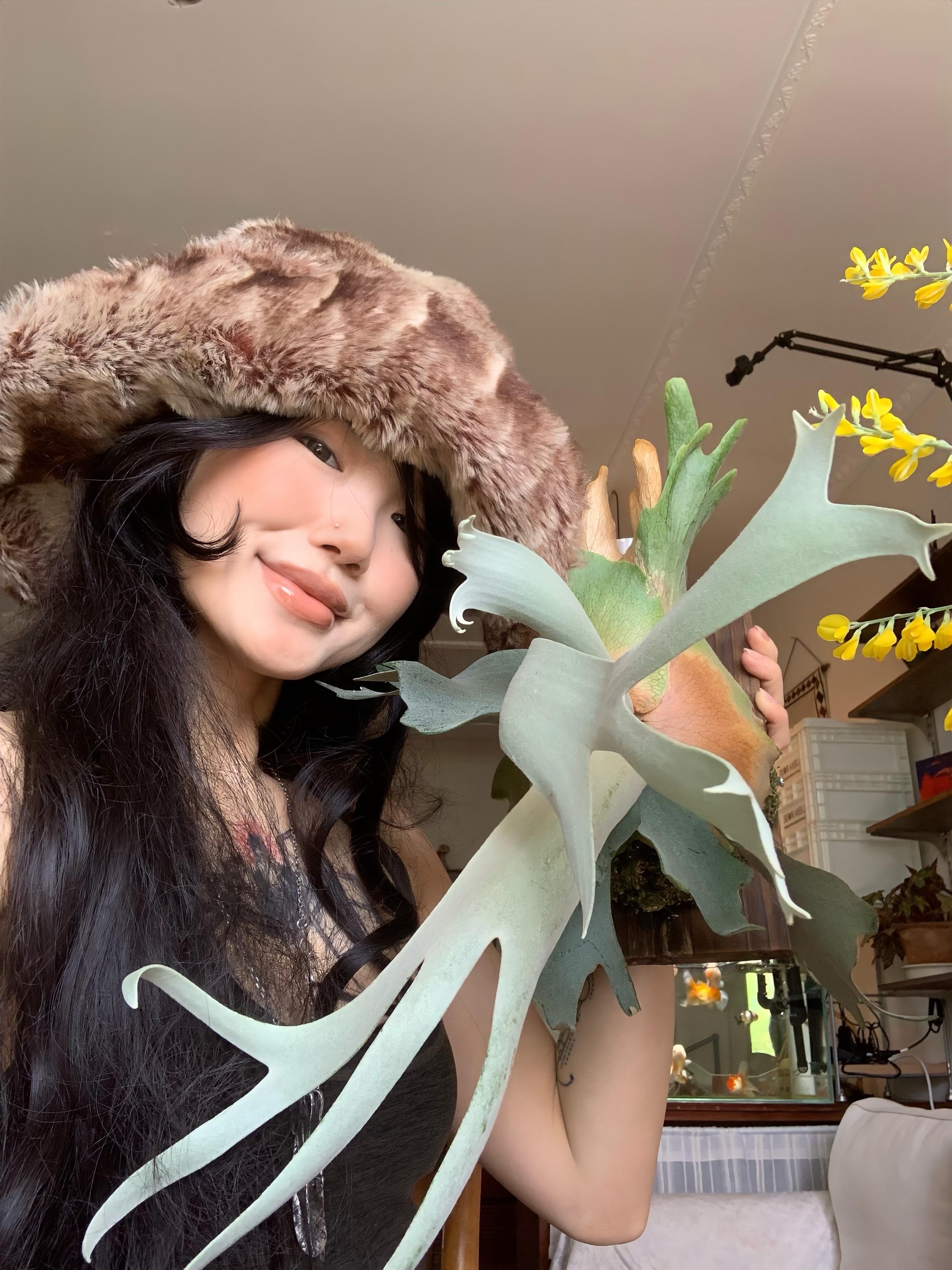 INFP的小植物园。嘻嘻看看大家的植物