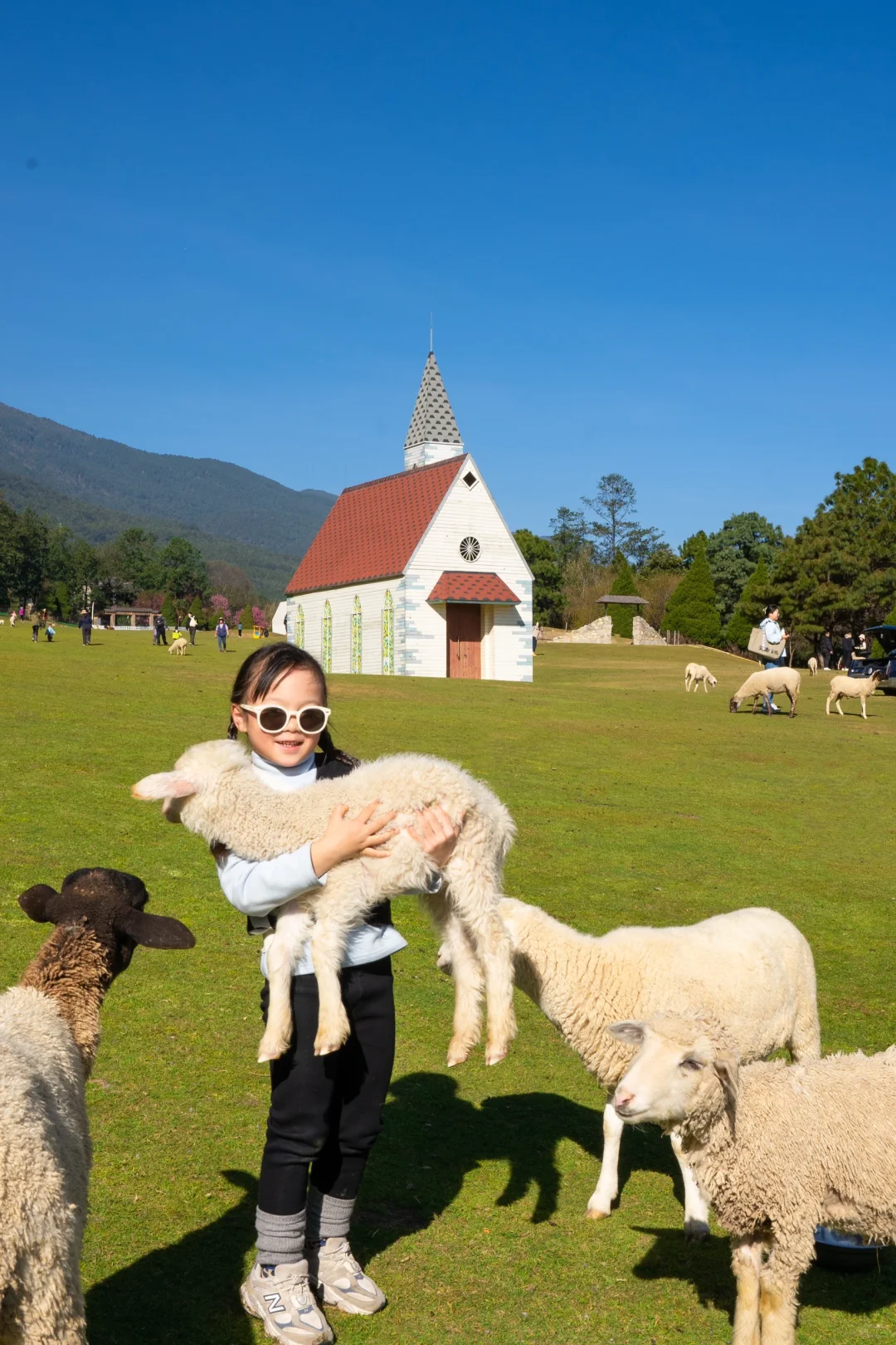 明明在大理｜朋友以为我去了新西兰