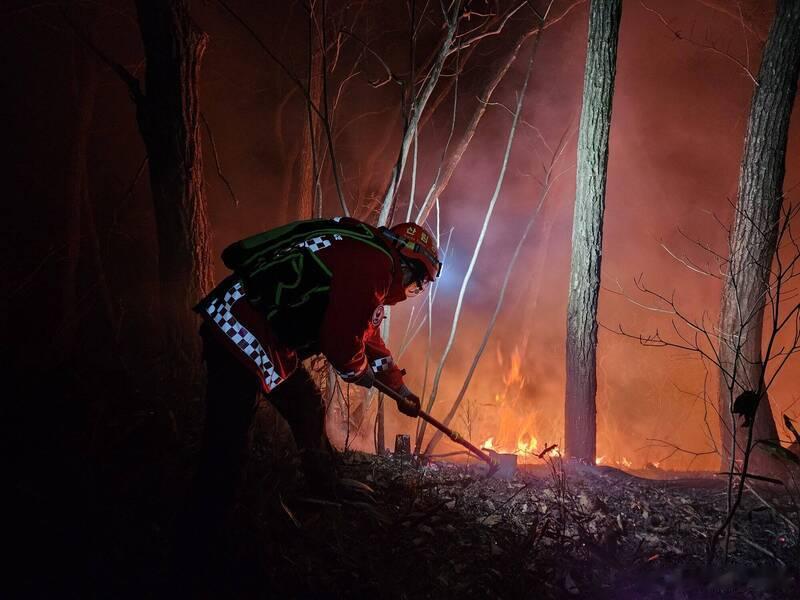 火势持续蔓延！韩国东南部再发森林大火 过火面积逾120公顷海外新鲜事ai热点共创