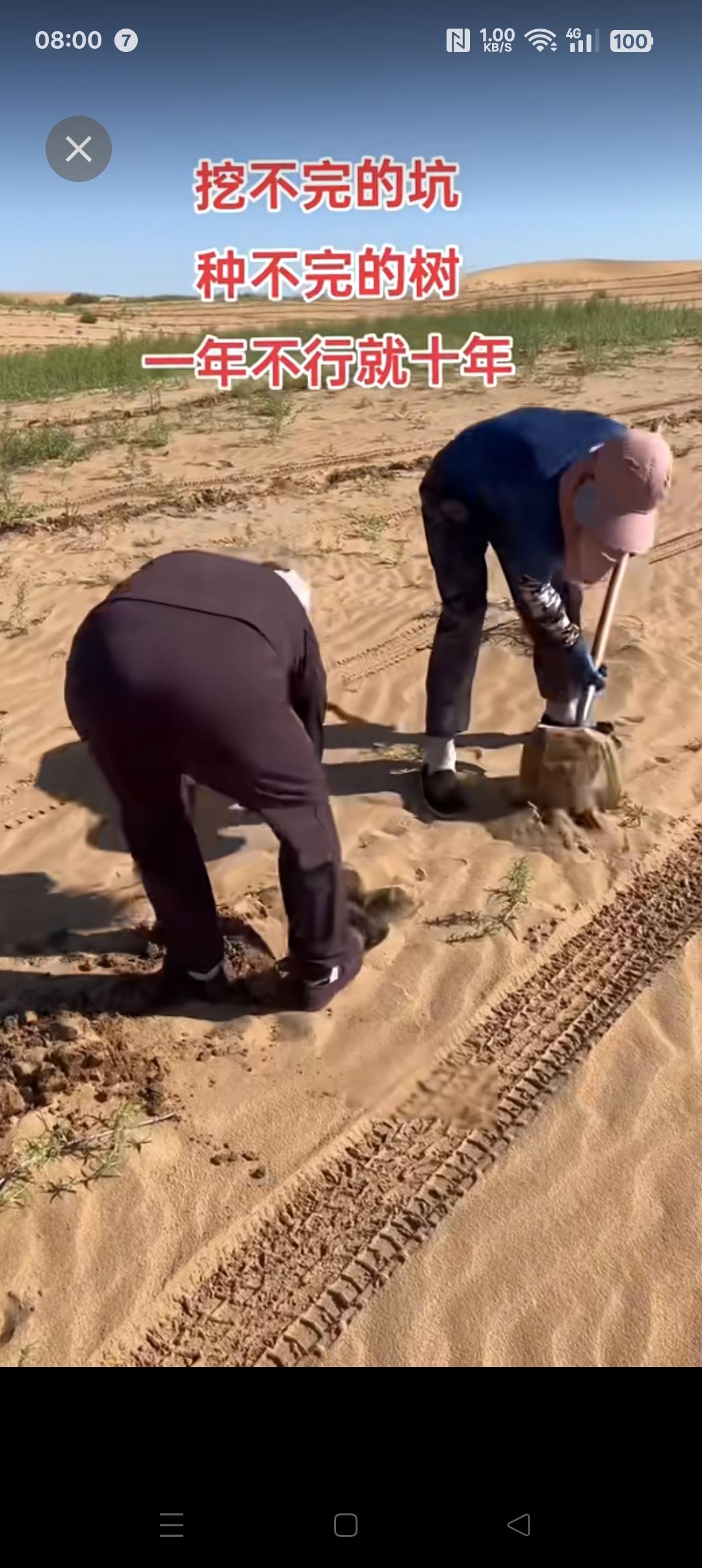 沙漠地区植树造林没起到作用吗?沙漠地区植树造林并非无用，而是要尊重自然规律，科学