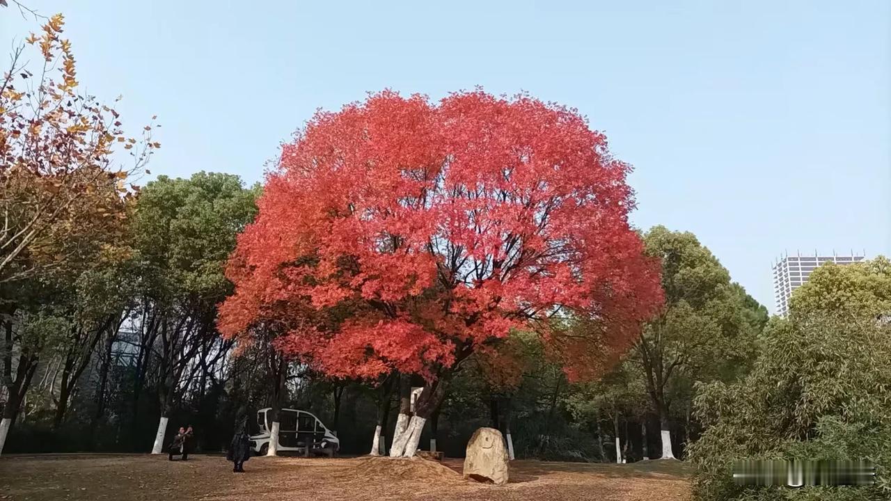 忽然想到：
我发现很多人谈哲学，
也许都不知它为何物，
什么都可往里头装，
甚至