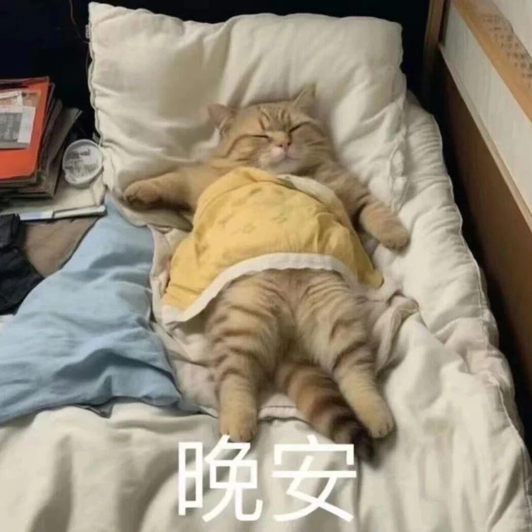 岑先生  再看竞技比赛我是🐶看的我头疼，睡觉！ 