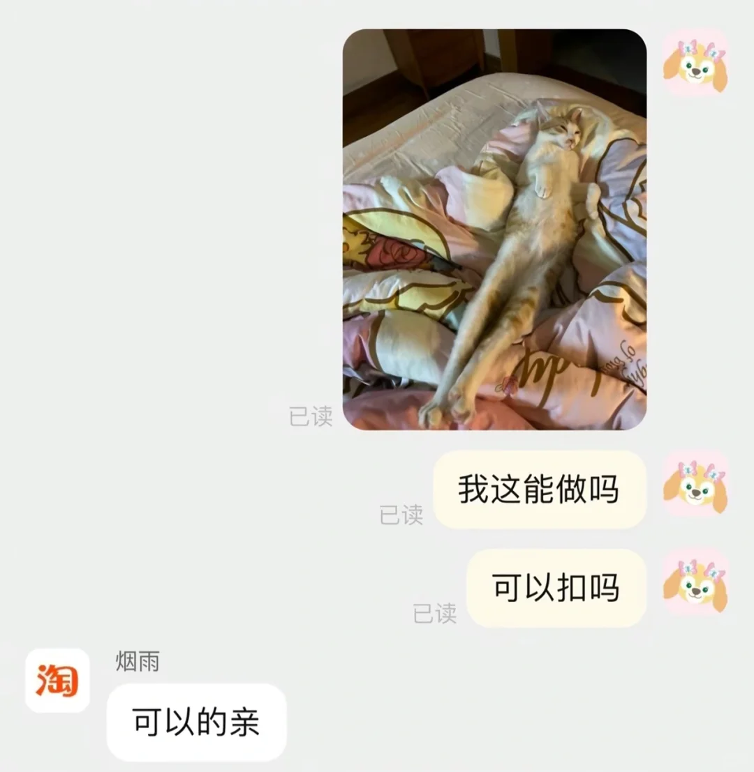 这猫猫抱枕真是给我人笑飞了哈哈哈哈哈