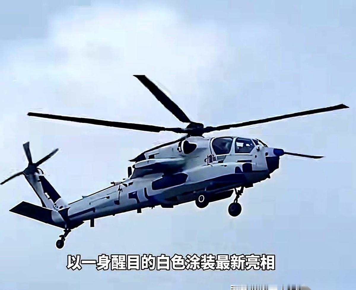 直升机，没了炮？这事儿听起来就离谱。
军迷们的眼睛可毒得很。陆军版武直-21刚露