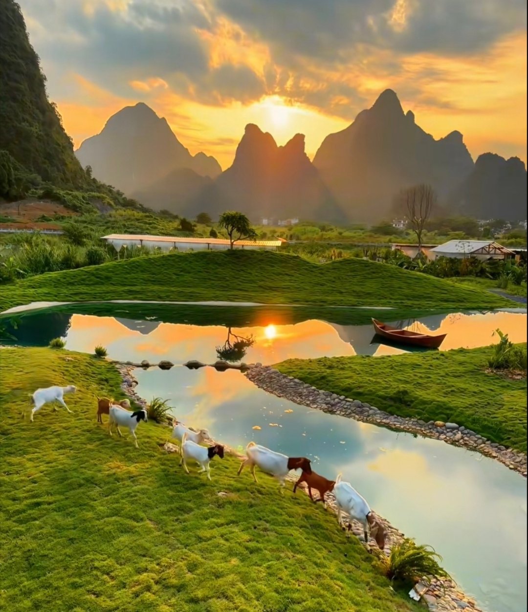 早安生活手记 夏去秋来岁序更，浓阴深处听蝉鸣，秋意已悄悄敲门。周四愉快，早安早安