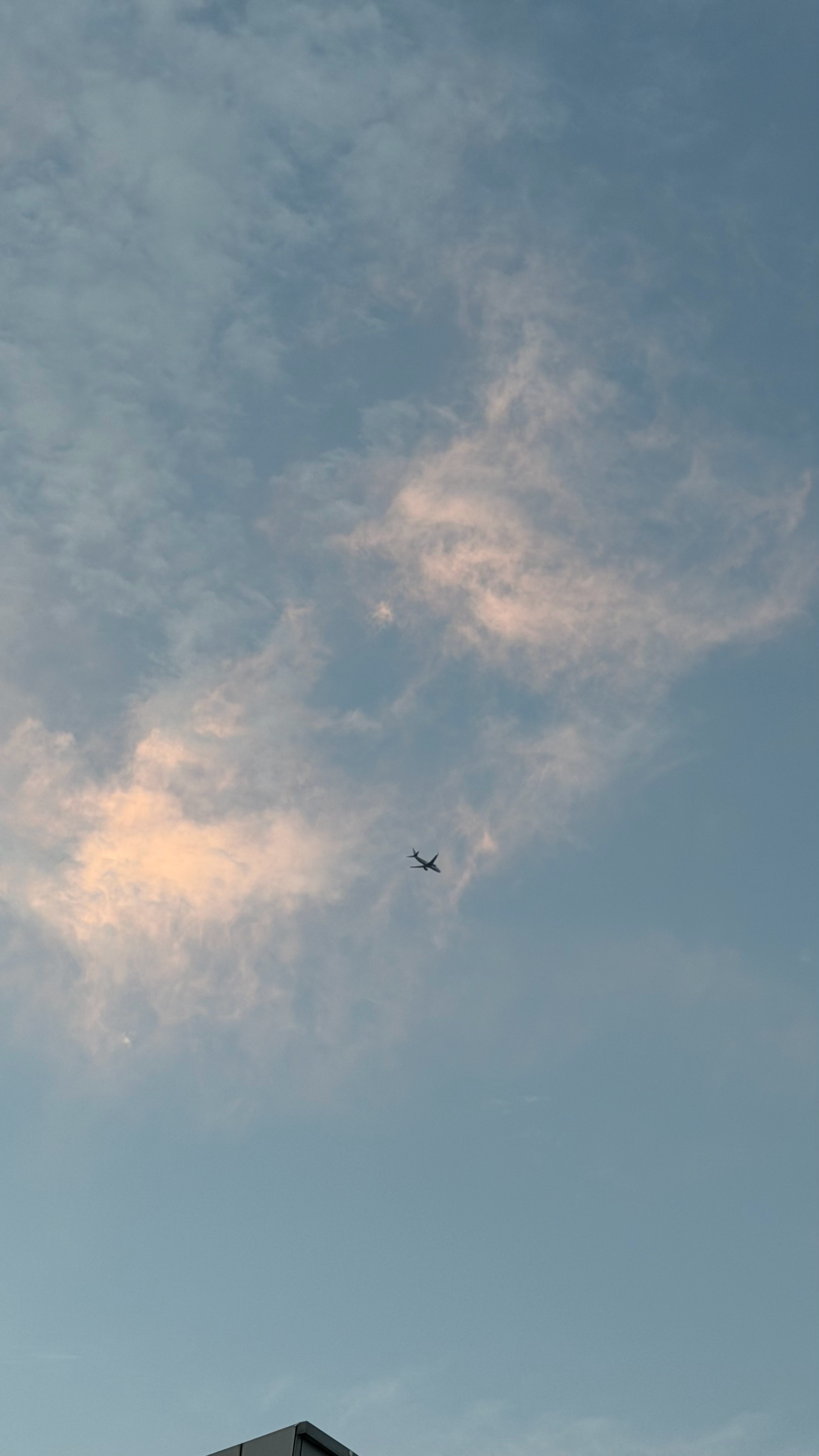 飞坤