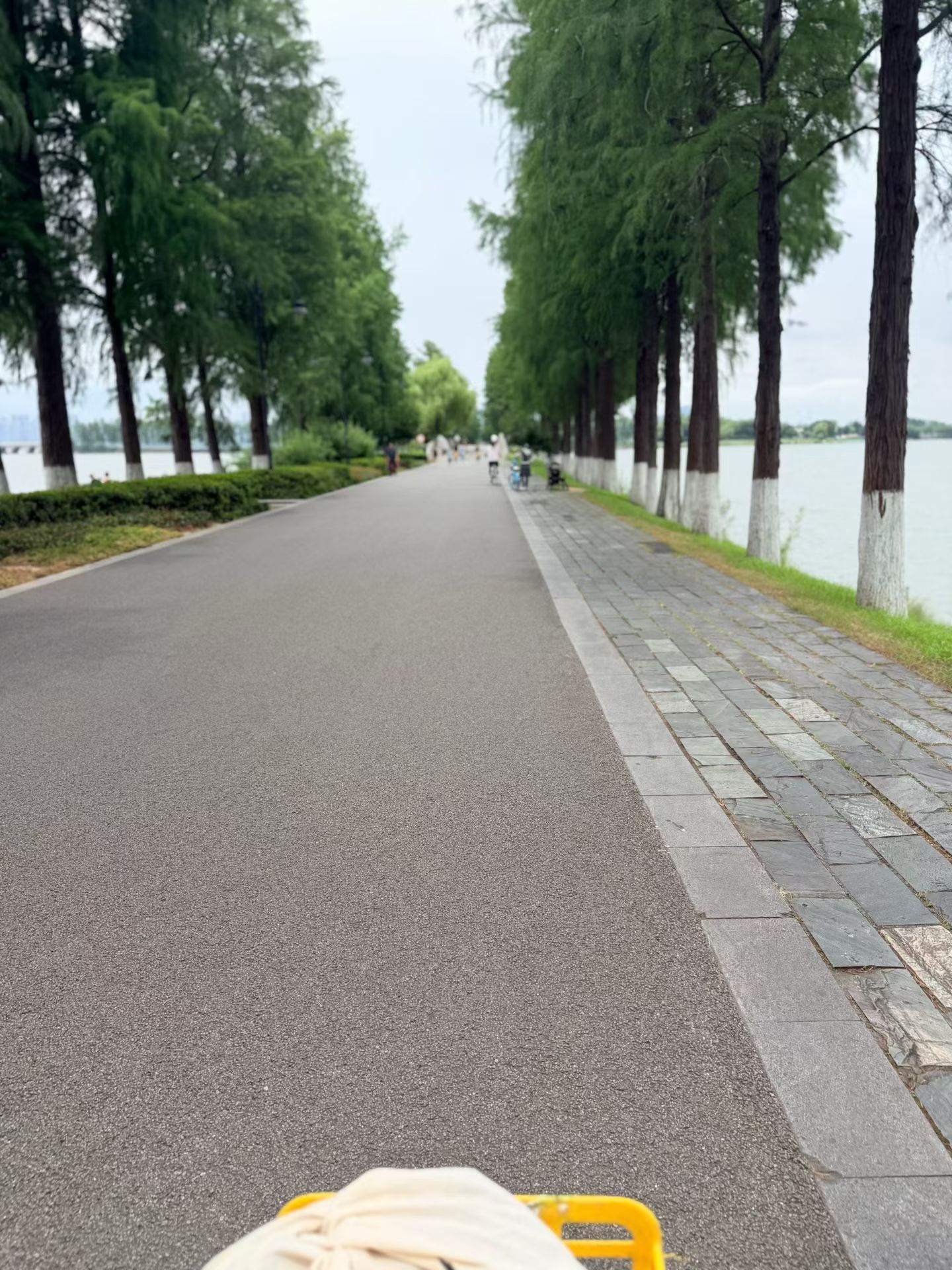 东湖绿道真不错骑共享单车也很快乐 武汉·东湖生态旅游风景区