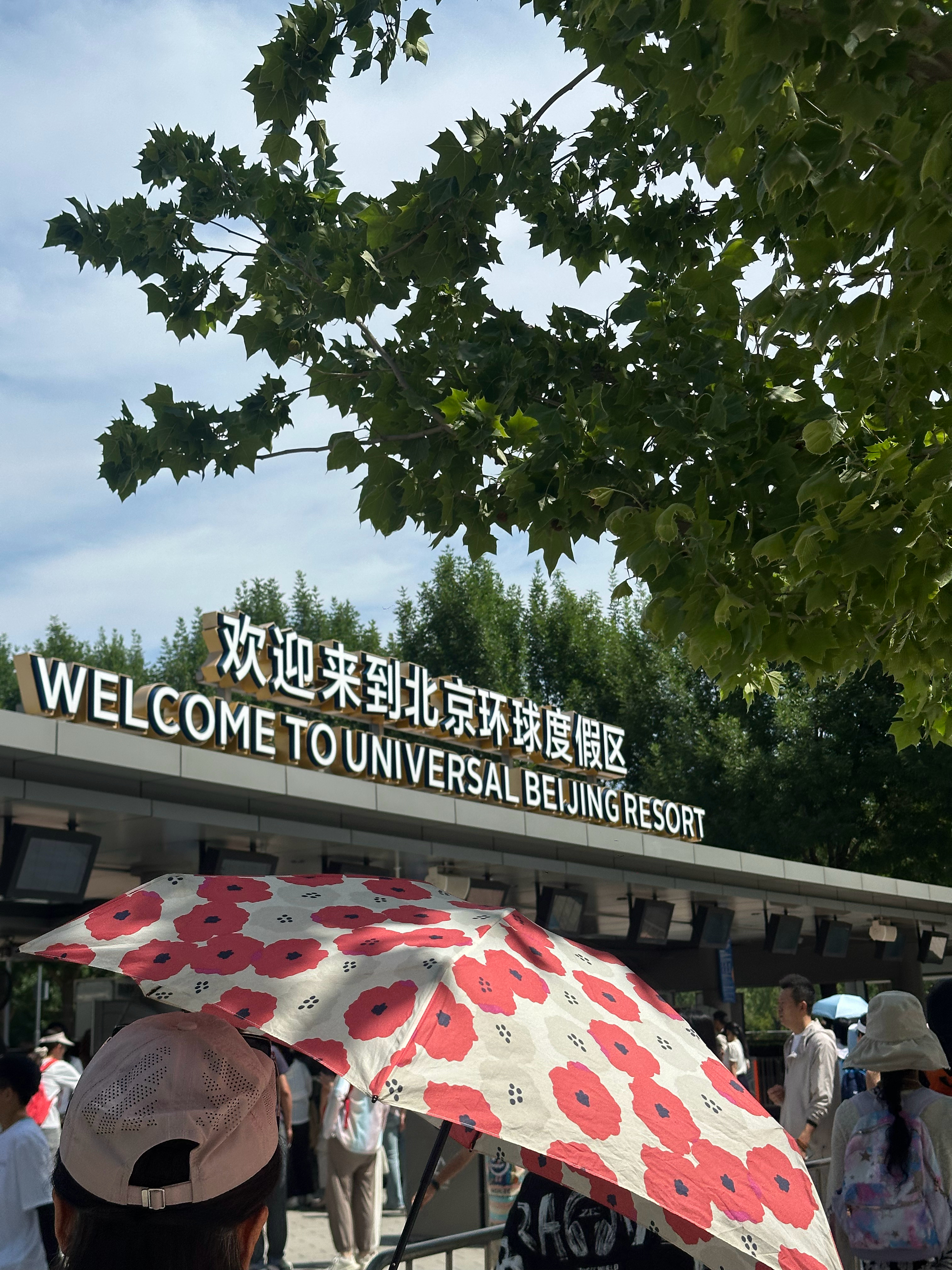 我来了 
