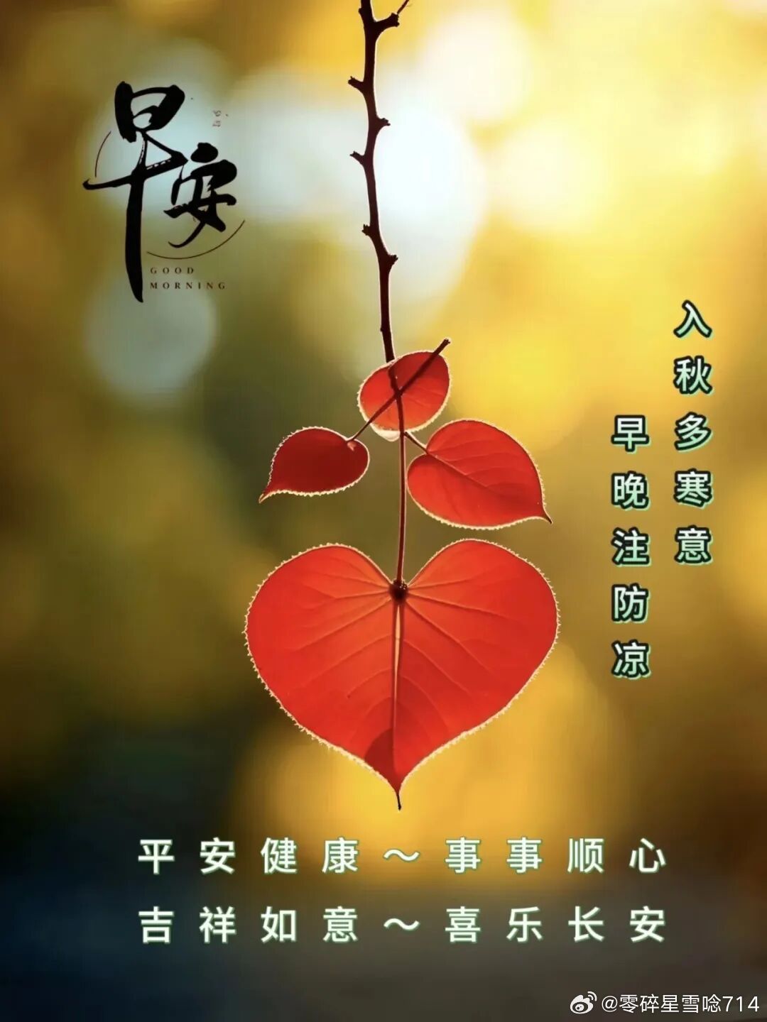 🍂²⁰²⁶/₀₉.₁₃ ᵕ̈☕️晨光拂照微凉的草木，岁月在静谧之中悄然沉淀。愿
