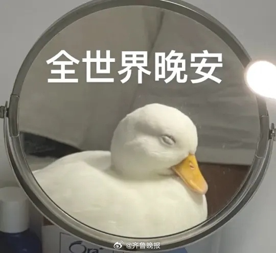 做自己的治愈者，与快乐握手言和，让日子温柔有趣。#晚安#