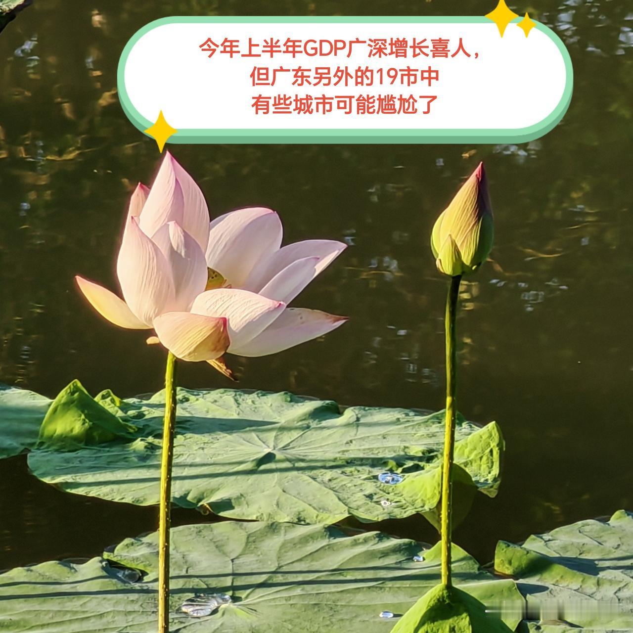 今年上半年，广州和深圳的GDP增长着实令人惊喜，然而广东其余19市的GDP增长情