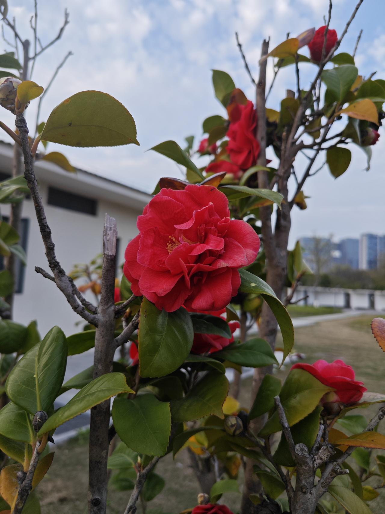 咱普通老百姓养生：就在厨房

别再跟风乱补了。厨房里那几样便宜货，才是身体最认的