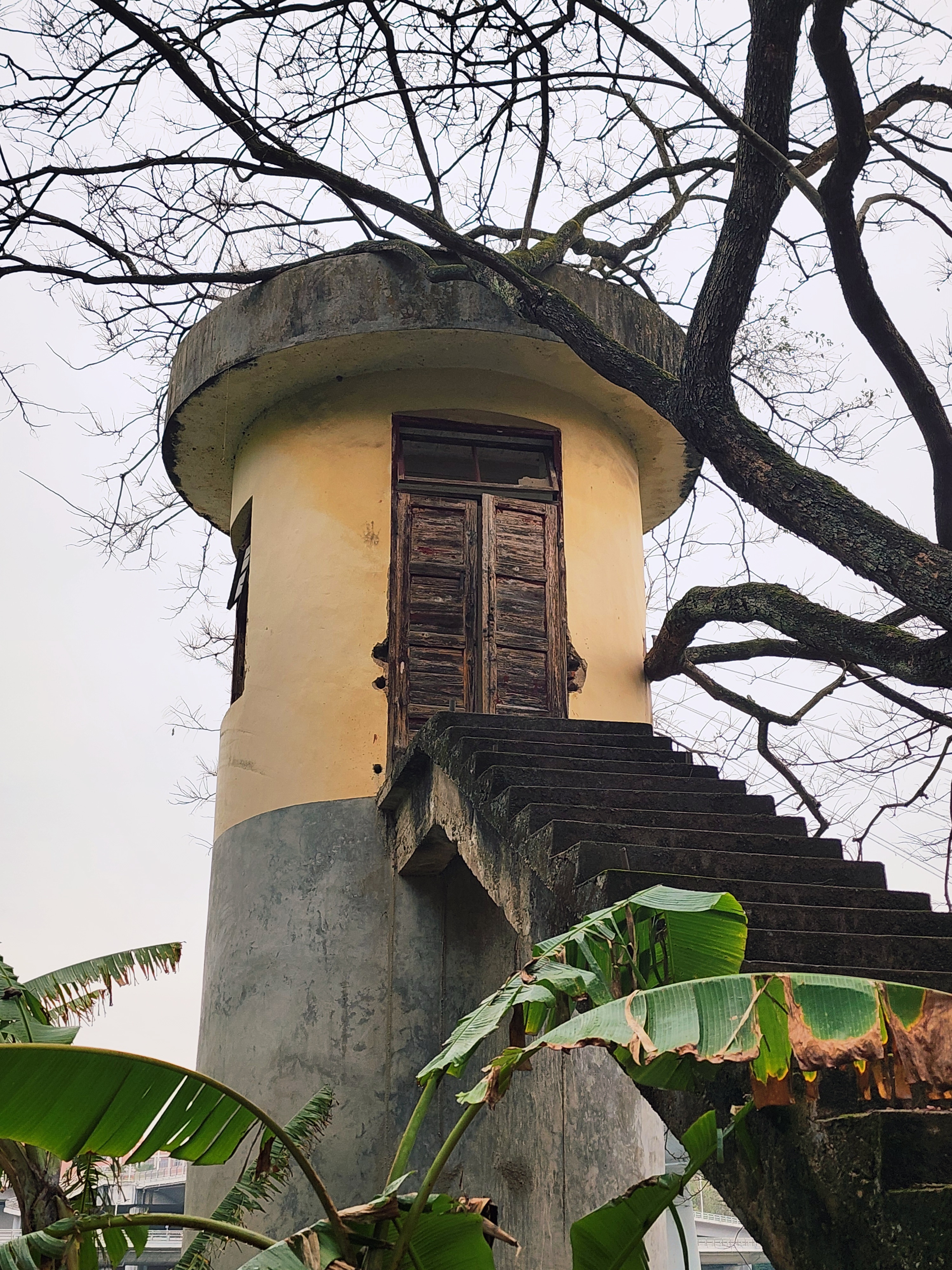 晨跑 其实是晨走