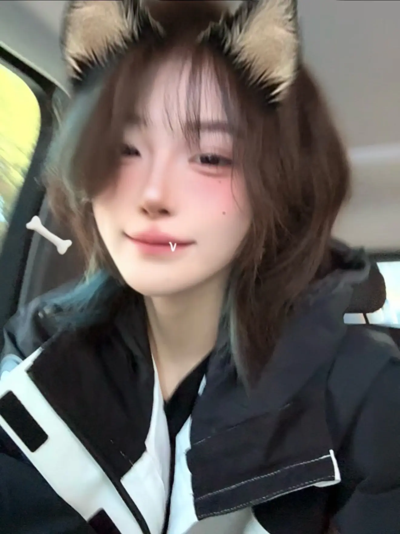 卷毛小狗好耶