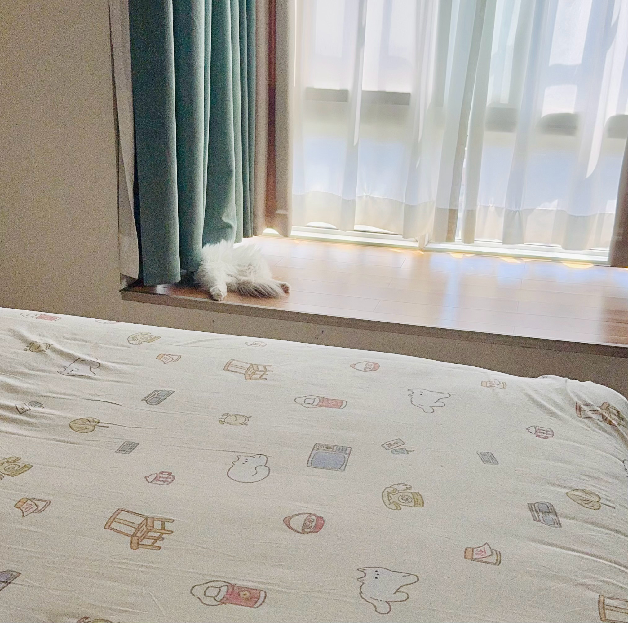 半片猫 ​​​