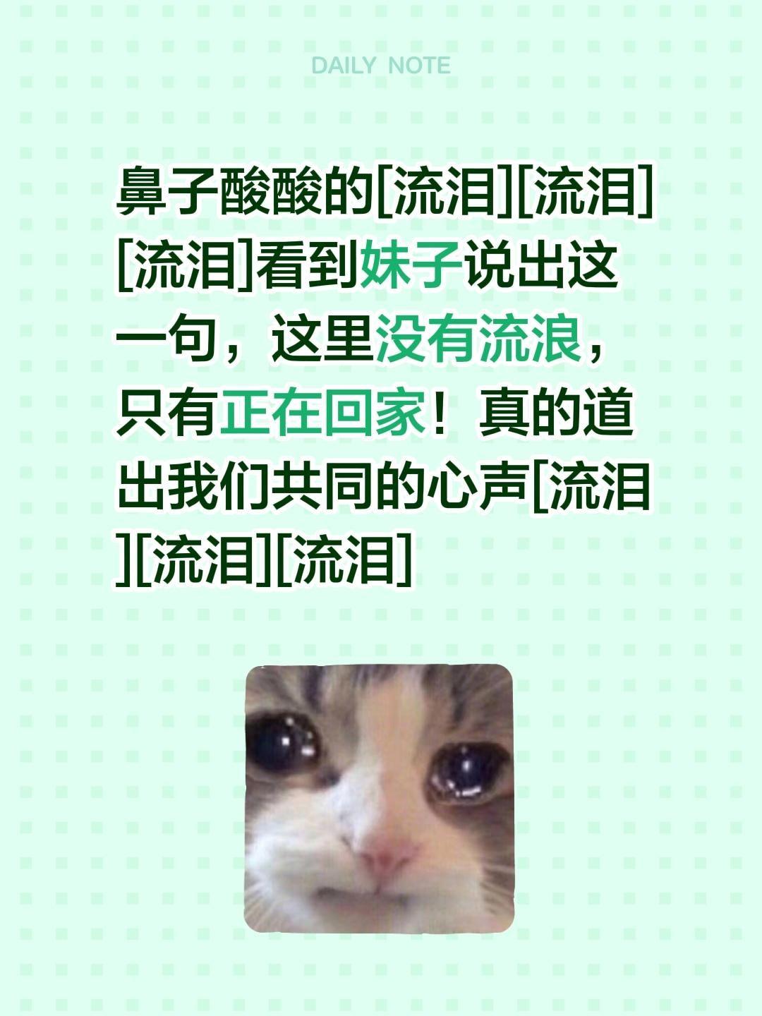 我评论了@小刚给流浪猫找家（沈阳和天津哈尔滨） 的作品：
鼻子酸酸的[流泪][流