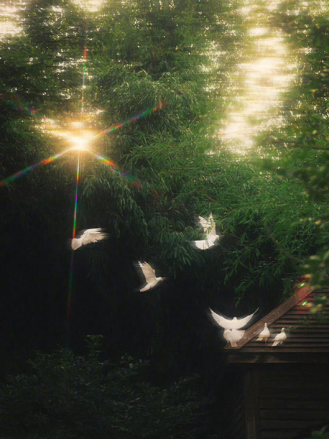 我们常说的：最美好的人，最美好的事，最美好的风景，其实都是在说自己，在说自己内在