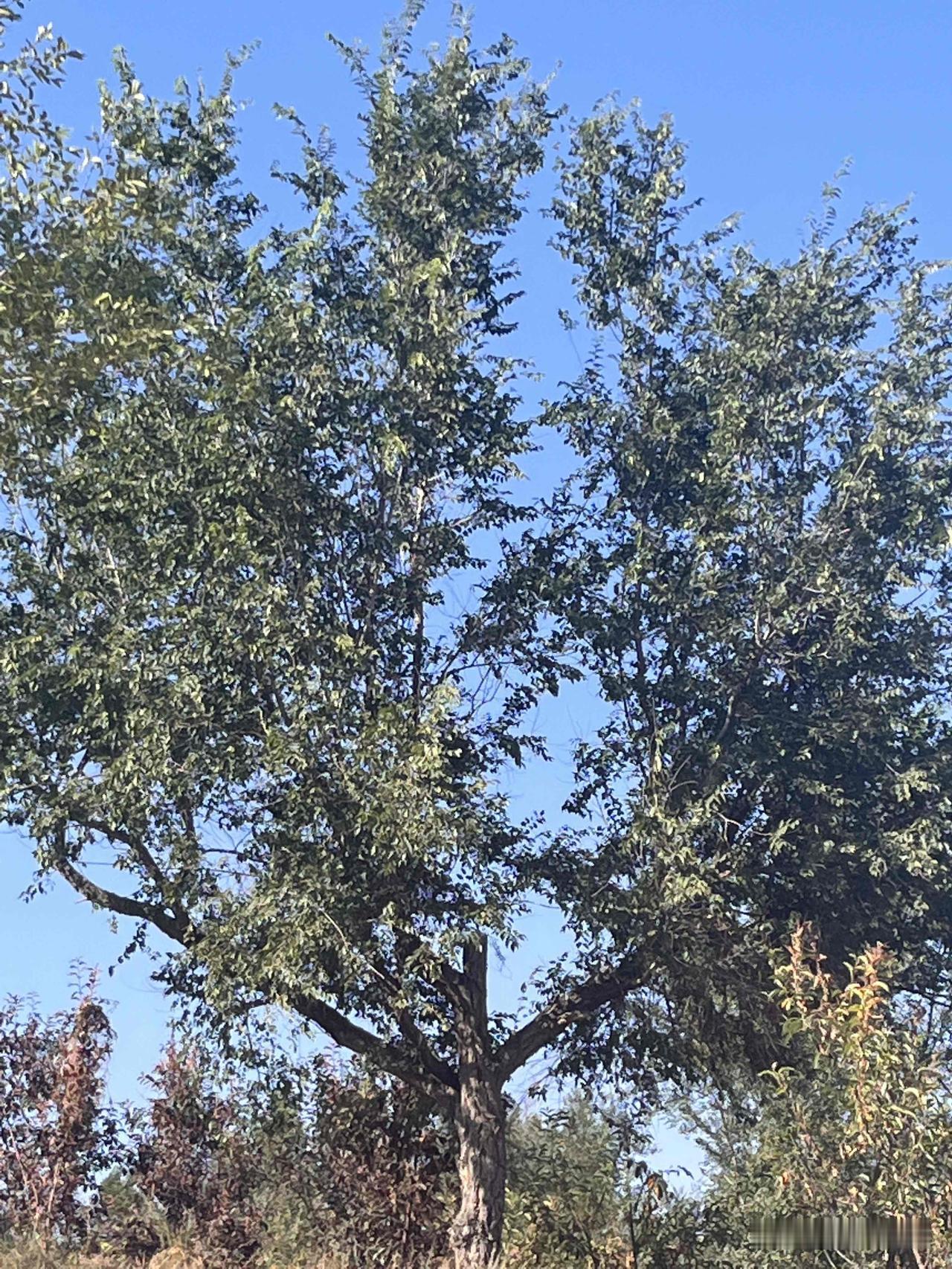 捕捉精彩的瞬间，留住当下的美好，这样的画面是独一无二的，最真实，比如傍晚的夕阳，