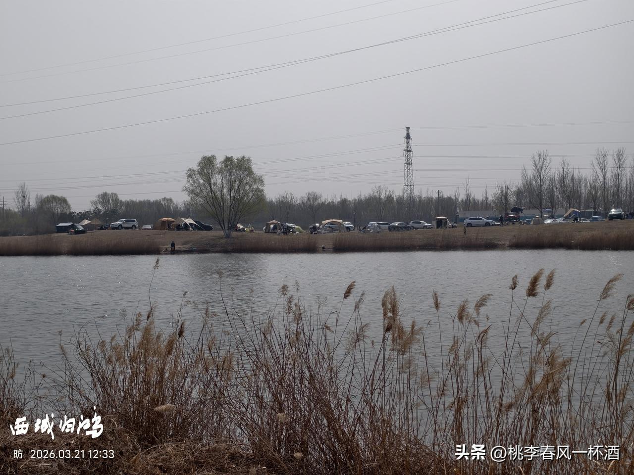 图说东营:正是一年春好日，人们走出家门，来到户外踏青赏花。东营广利河两岸，更是车