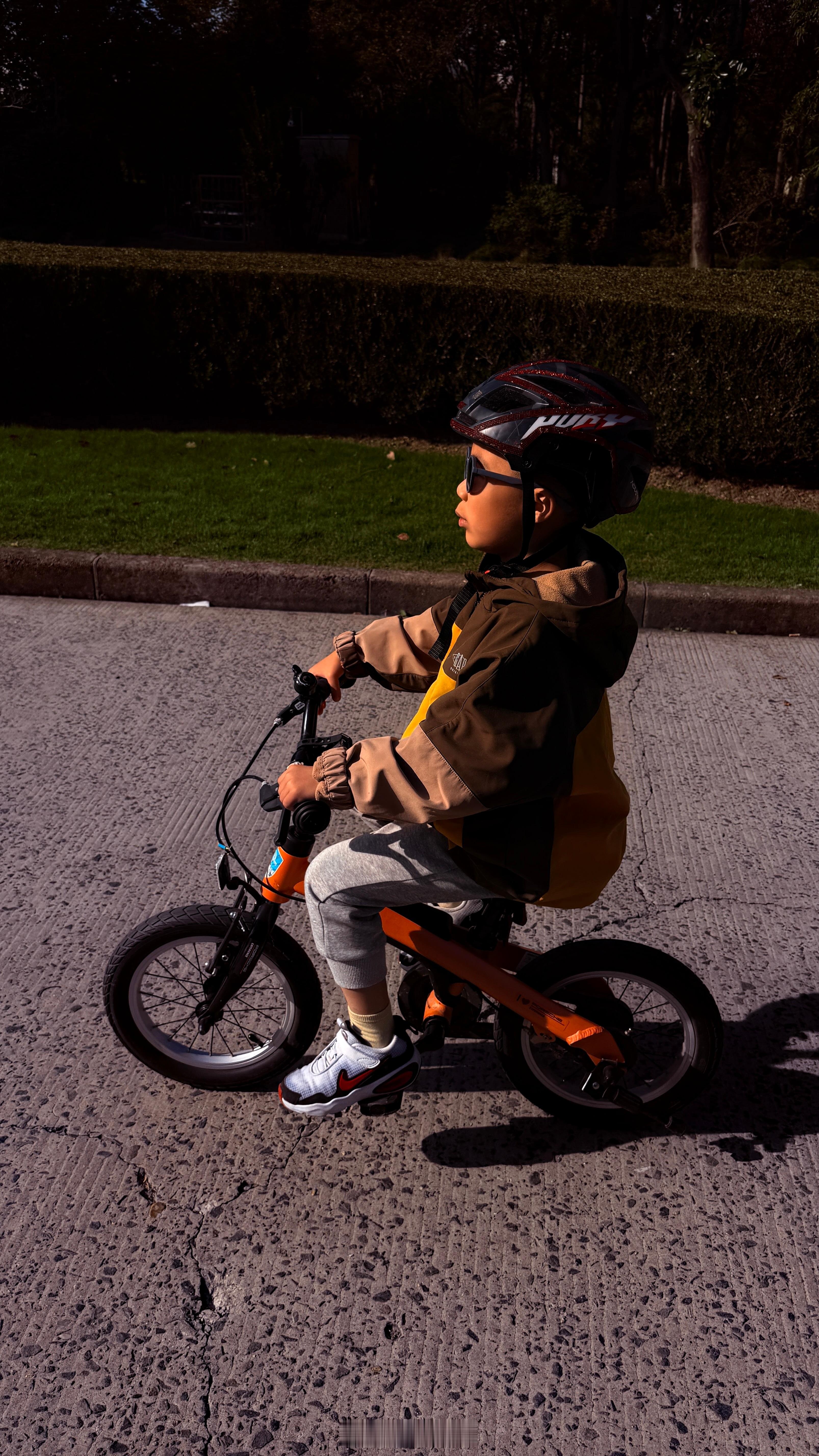 走去上海大学看菊花展，骑车🚲…