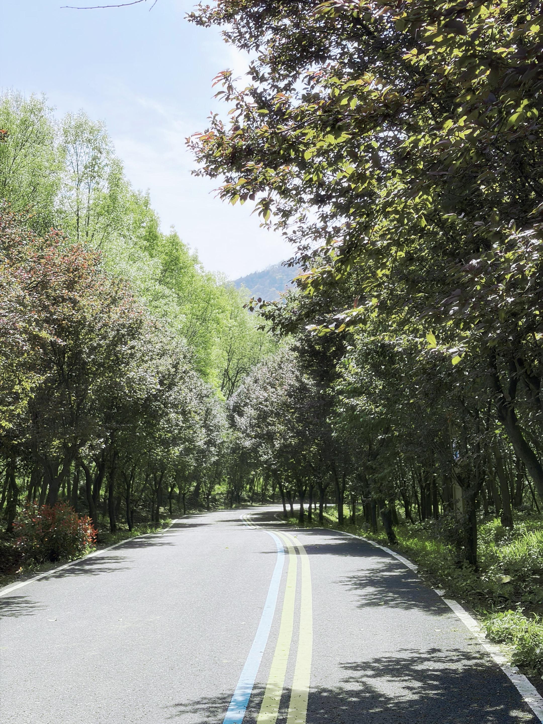 也算是联动上了，老山×太子尖       小海 感谢你的p图，下次别p...