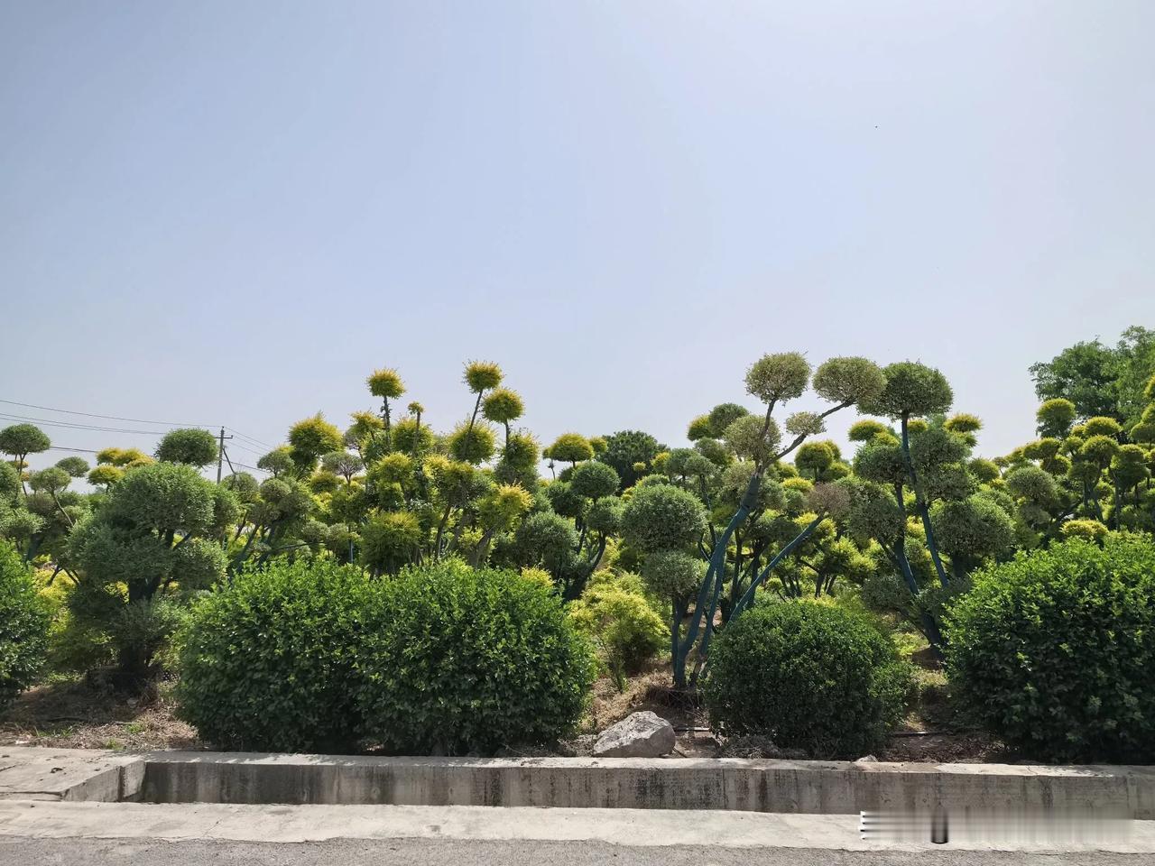 我和老公商量了一下，俩人一致同意放弃高速，走国道。边走边看沿途风景。
可能和我们