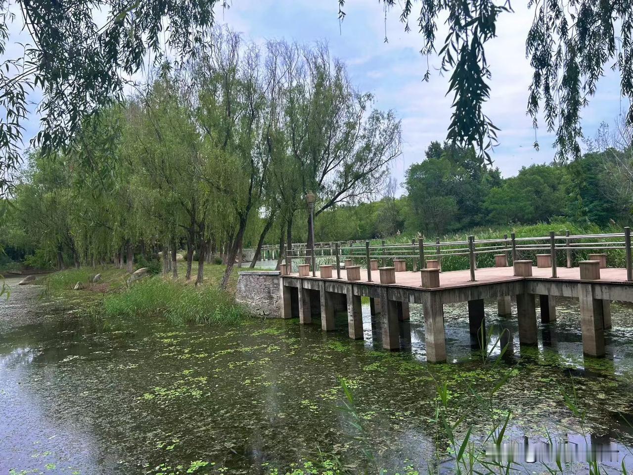 一年一端午，一岁一安康，愿您粽是快乐，粽是微笑，粽是喜悦，粽是好运，粽是幸福。祝
