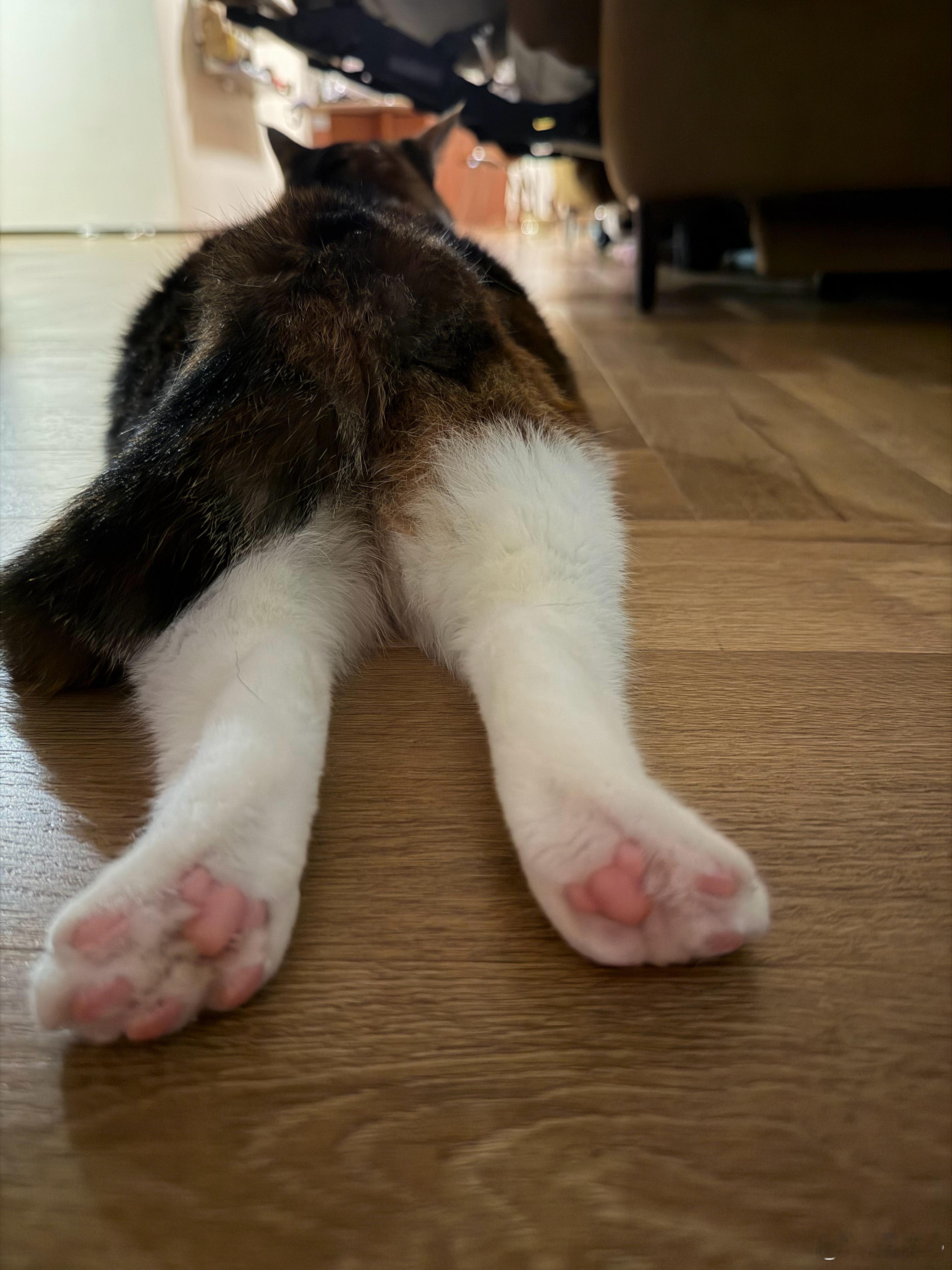 晚安！ 