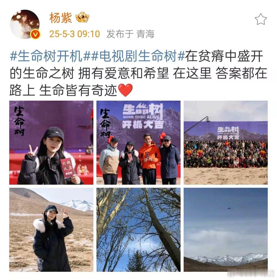 杨紫晒开机照杨紫晒生命树开机照杨紫晒生命树开机照，一切顺利，[心][心] ​​​