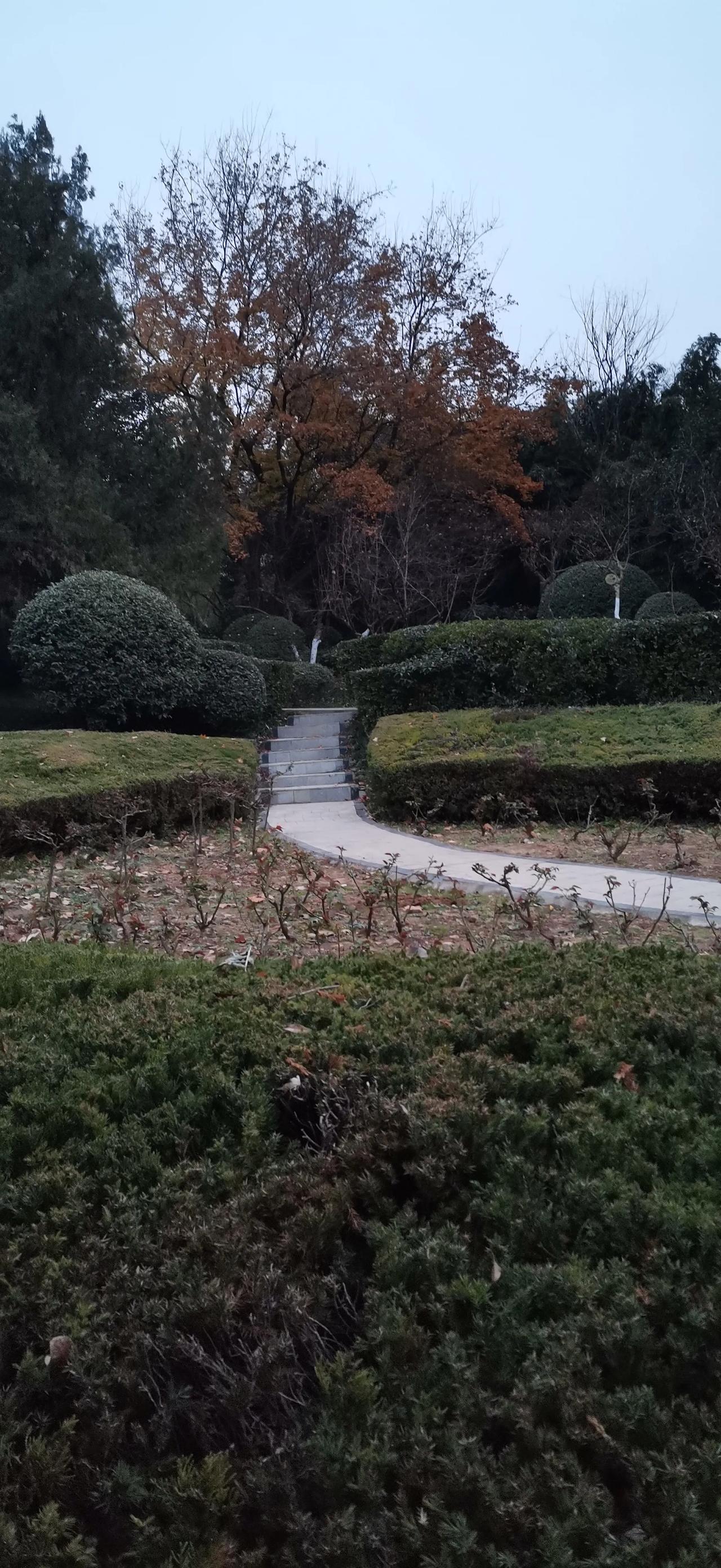 随手一拍风景照。