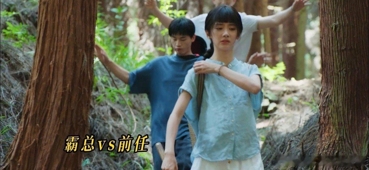 小芳开播暑期难得的清新乡土剧开播啦，满屏治愈绿意，家人全力支持女主，这么新颖的题