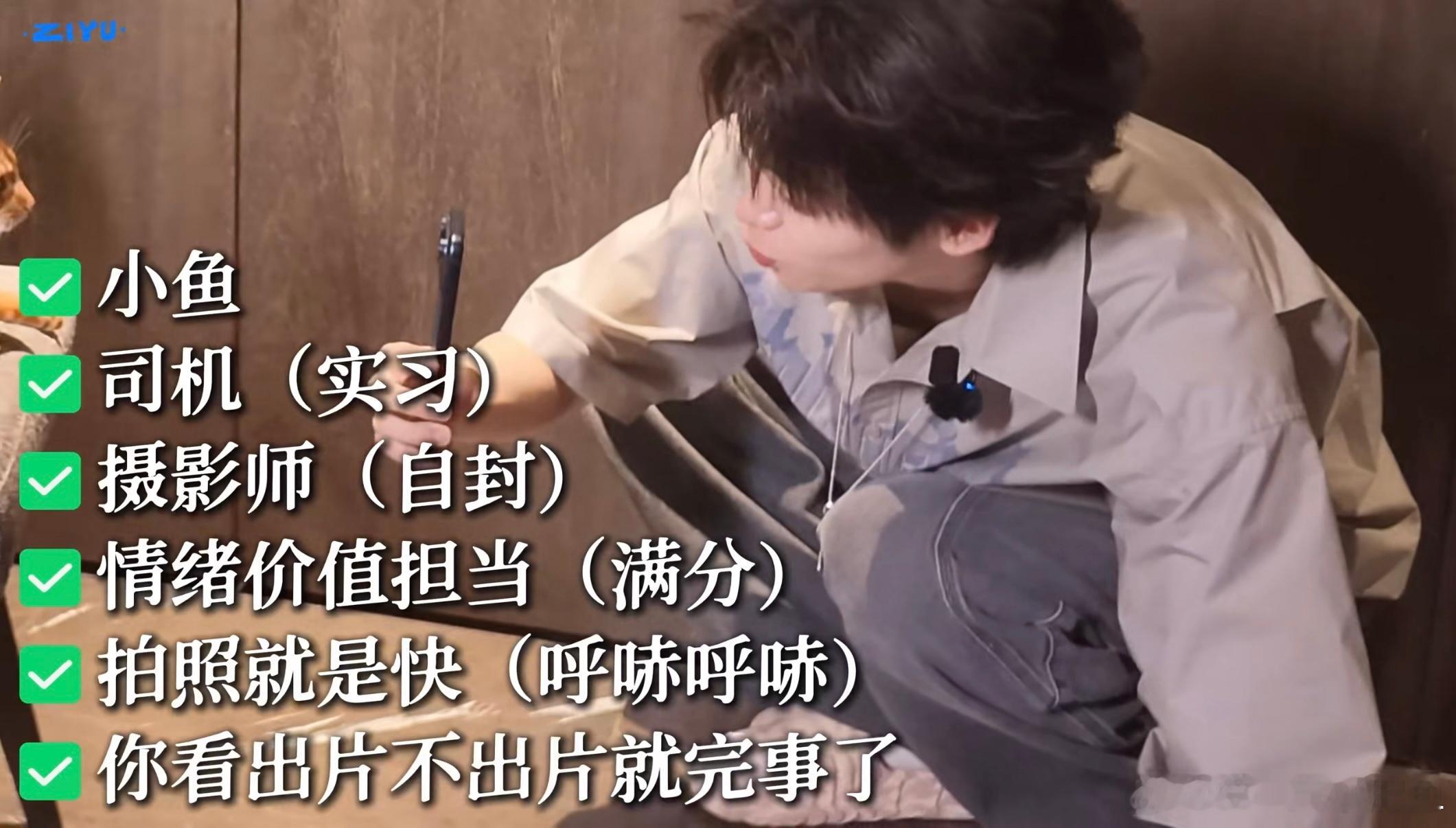 明星猫十一和它的摄影郑老师 